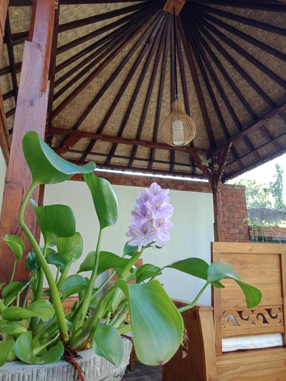 D'Puja Home Stay And Spa Nusa Dua  Exteriér fotografie